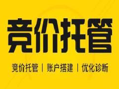 好的競價(jià)托管公司